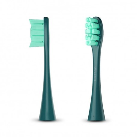 oclean 電動歯ブラシ共通　交換ブラシヘッド　2個セット グリーン系